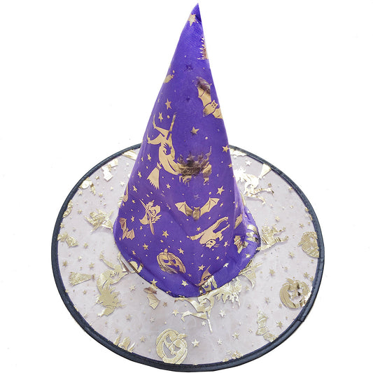 Purple With Gold Witches' Hat